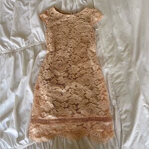 Elegant Lace Peach Dress